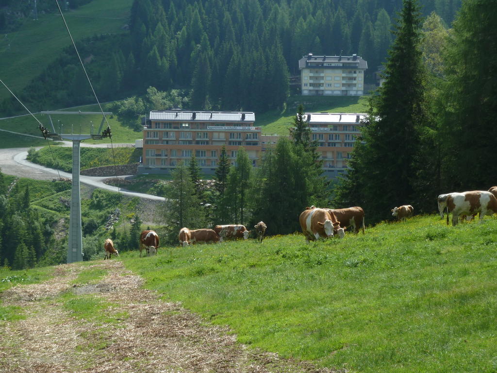 Appartementhaus Ckpk Sonnenalpe Nassfeld Exterior photo
